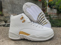 Air Jordan 12 Sneakers – Gray / Gold